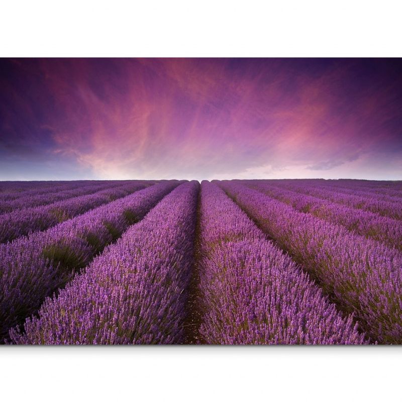 120x80cm Wandbild Lavendel Feld Sonnenuntergang