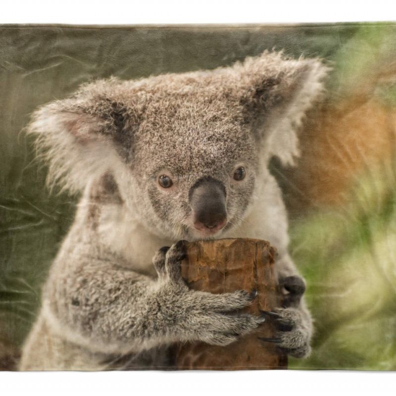 Handtuch Strandhandtuch Saunatuch Kuscheldecke  mit Tiermotiv Koalabär Koala Aus