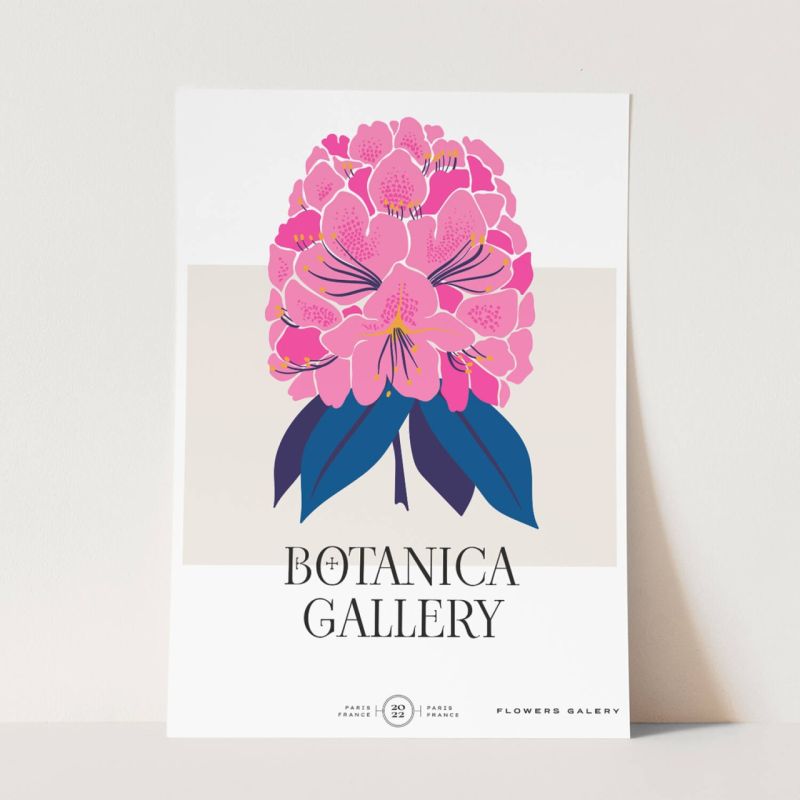 Botanica Wunderschöne Blumen Illustration Dekorativ Modern Farbenfroh