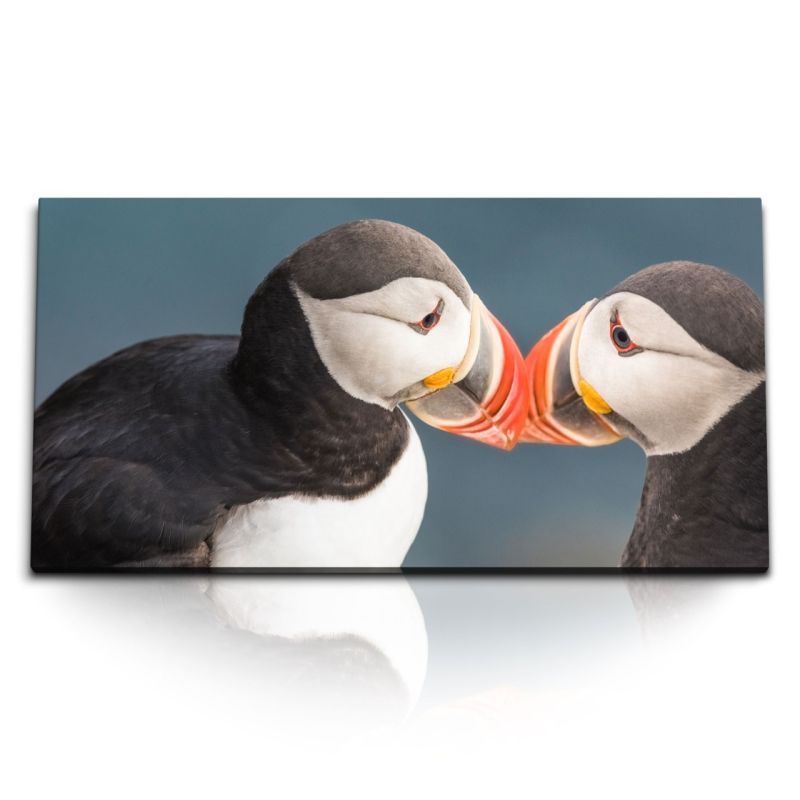 Kunstdruck Bilder 120x60cm Papageitaucher Puffin Vogel Pärchen Tierfotografie