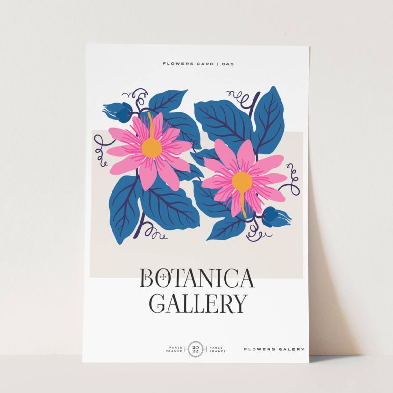 Botanica Wunderschöne Blumen Illustration Dekorativ Modern Farbenfroh