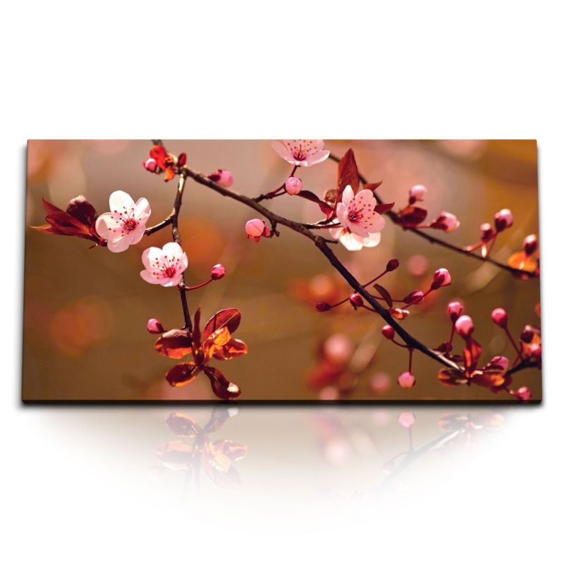 Kunstdruck Bilder 120x60cm Baumblüten Kirschblüten Rot Rosa Zweige Frühling