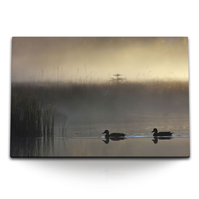 120x80cm Wandbild auf Leinwand Enten See Teich Ententeich Morgentau Nebel Natur