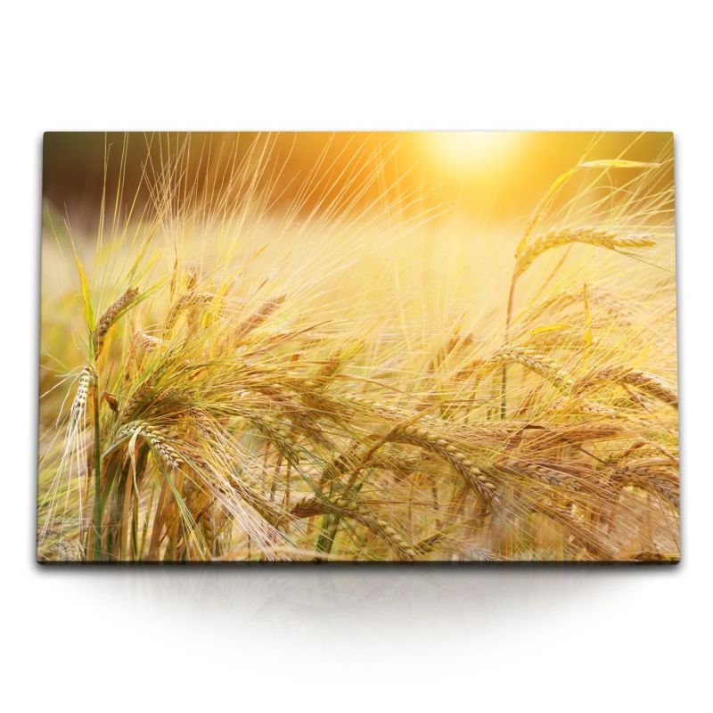 120x80cm Wandbild auf Leinwand Weizenfeld Weizen Sommer Natur Sonnenschein