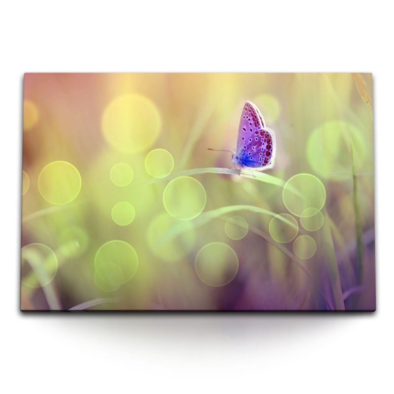 120x80cm Wandbild auf Leinwand Schmetterling Frühling Natur strahlen Fotokunst