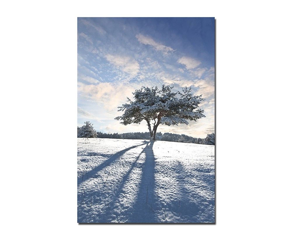 120x60cm Schnee Baum Schatten Winter