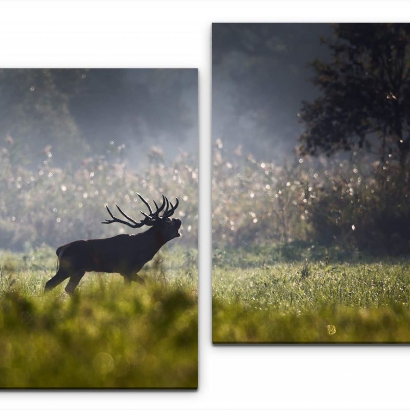 Hirsch im Wald Wandbild in verschiedenen Größen