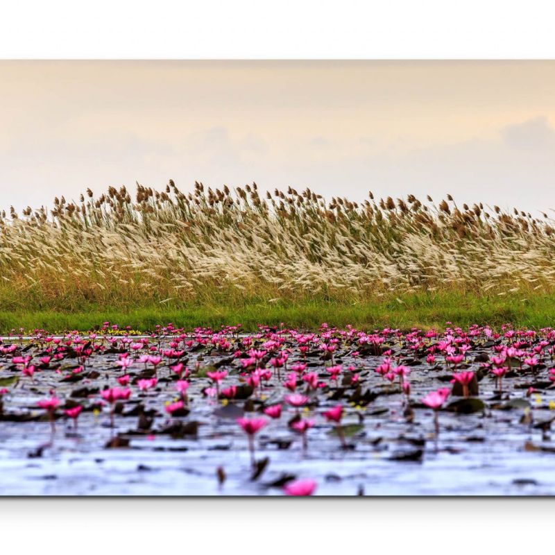 Rote Wasserlilien – Leinwandbild