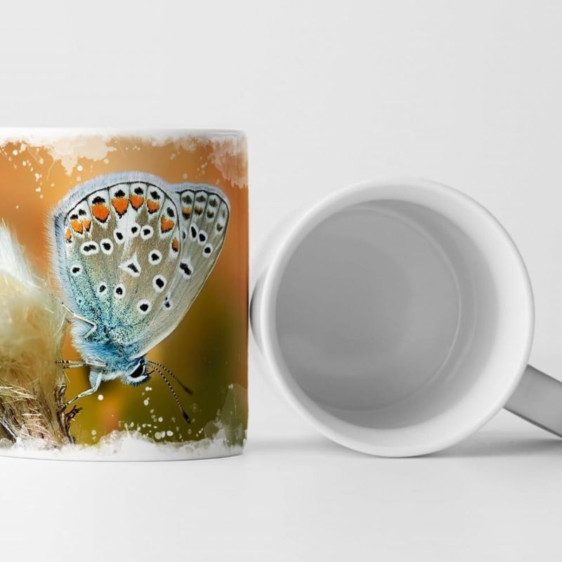 Tasse Geschenk Tierfotografie –  Himmelblauer Bläuling