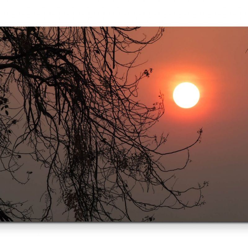 Silhouette eines Baumes im Sonnenuntergang – Leinwandbild