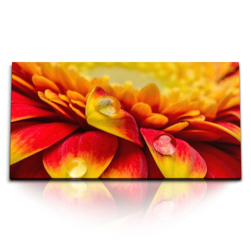 Kunstdruck Bilder 120x60cm Blume Wassertropfen Makrofotografie Orange Rot