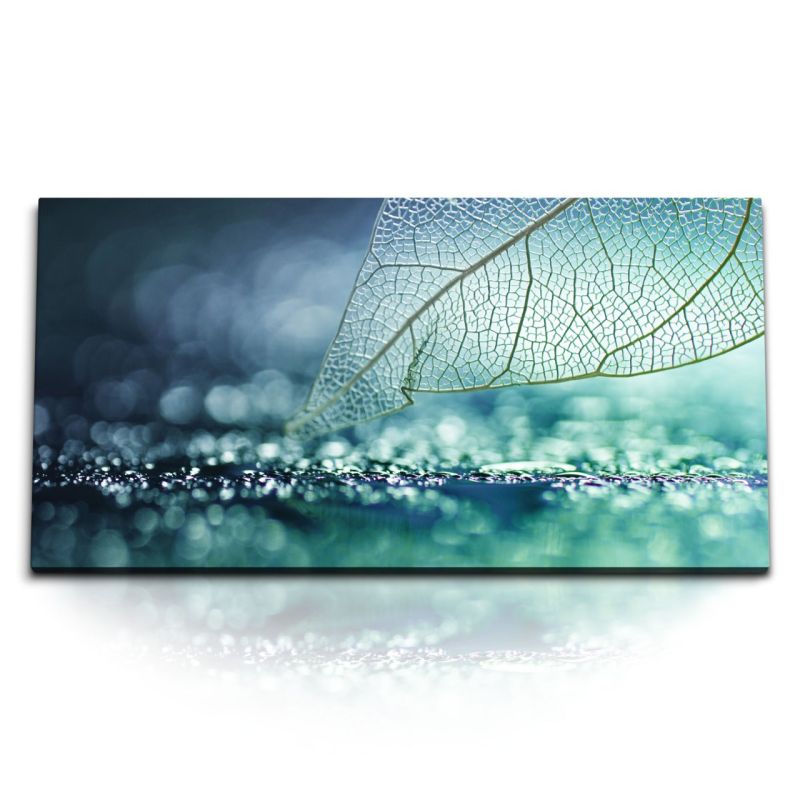 Kunstdruck Bilder 120x60cm Fotokunst transparentes Blatt Türkis Makrofotografie