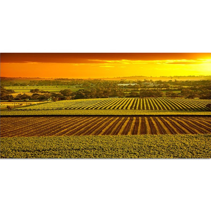 120x80cm Landwirtschaft Sonnenuntergang Australien