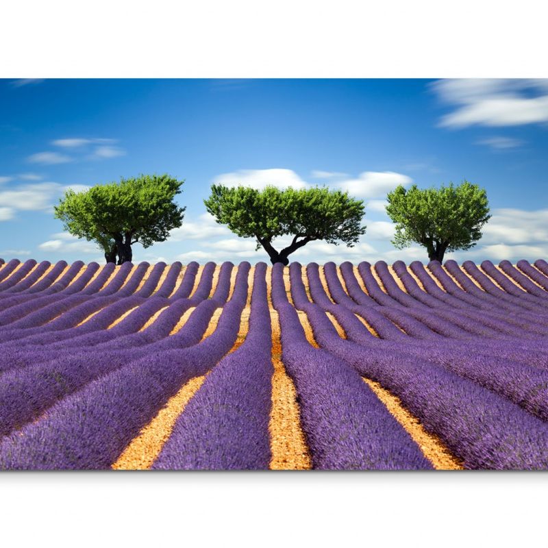 120x80cm Wandbild Frankreich Provence Bäume Himmel Wolken