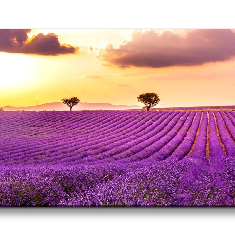 Leinwandbild 120x60cm Lavendelfeld Natur Horizont Himmel Schön