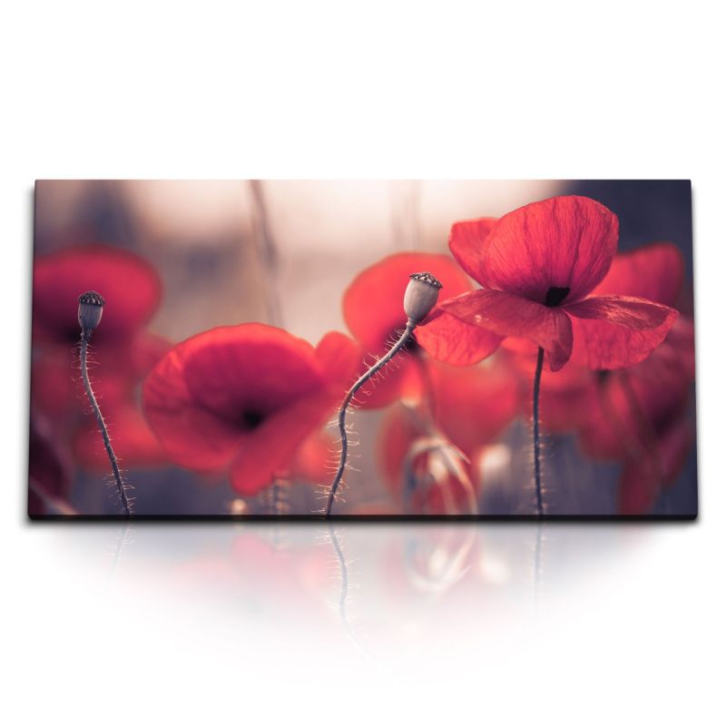 Kunstdruck Bilder 120x60cm Rote Blume Mohnblume Mohn Wildblumen