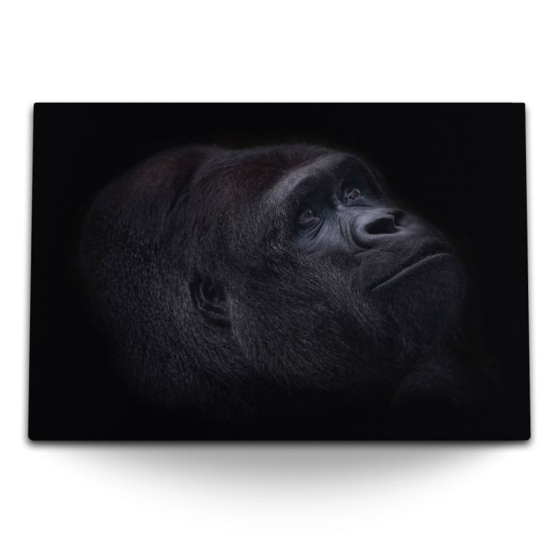 120x80cm Wandbild auf Leinwand Gorilla Porträt Schwarz Silberrücken Tierfotografie