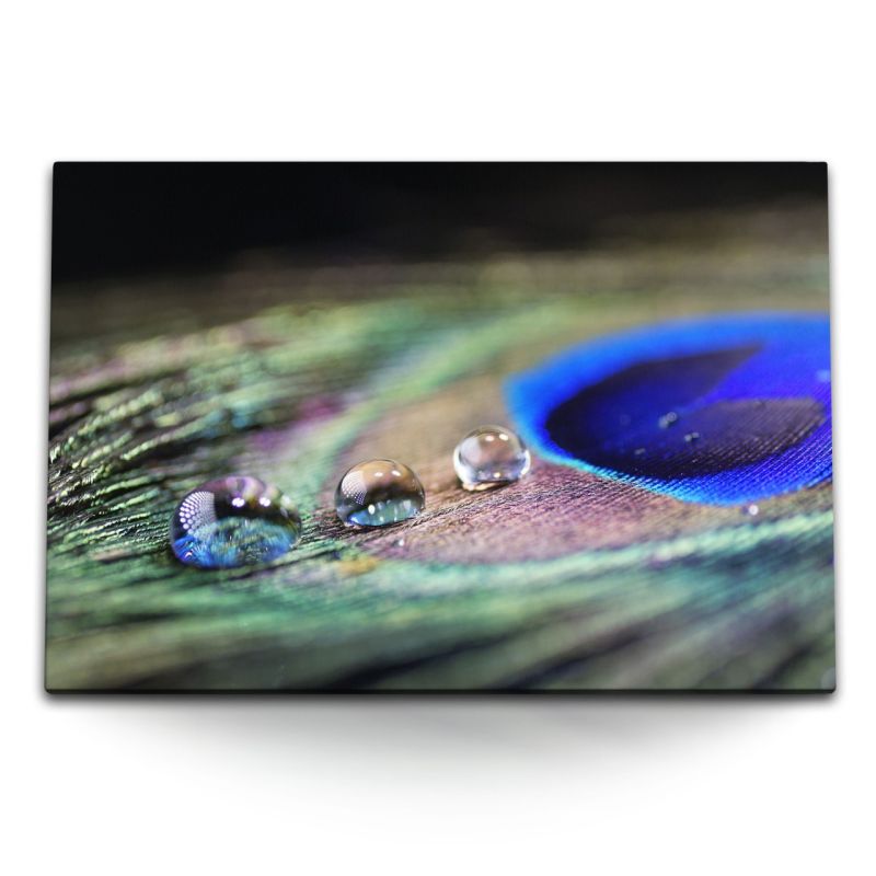 120x80cm Wandbild auf Leinwand Makrofotografie Pfauenfeder Feder Wassertropfen Fotokunst