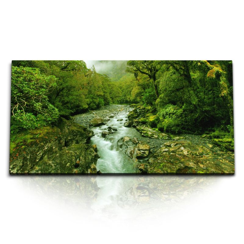 Kunstdruck Bilder 120x60cm Bach im Dschungel Bäume Grün Tropisch Fluss