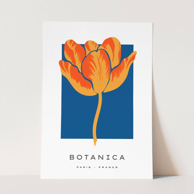 Botanica Wunderschöne Blumen Illustration Dekorativ Modern Farbenfroh