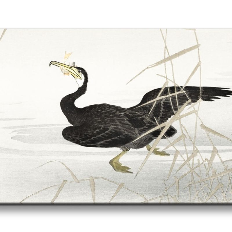 Remaster 120x60cm Ohara Koson traditionell japanische Kunst Kormoran fängt Fisch