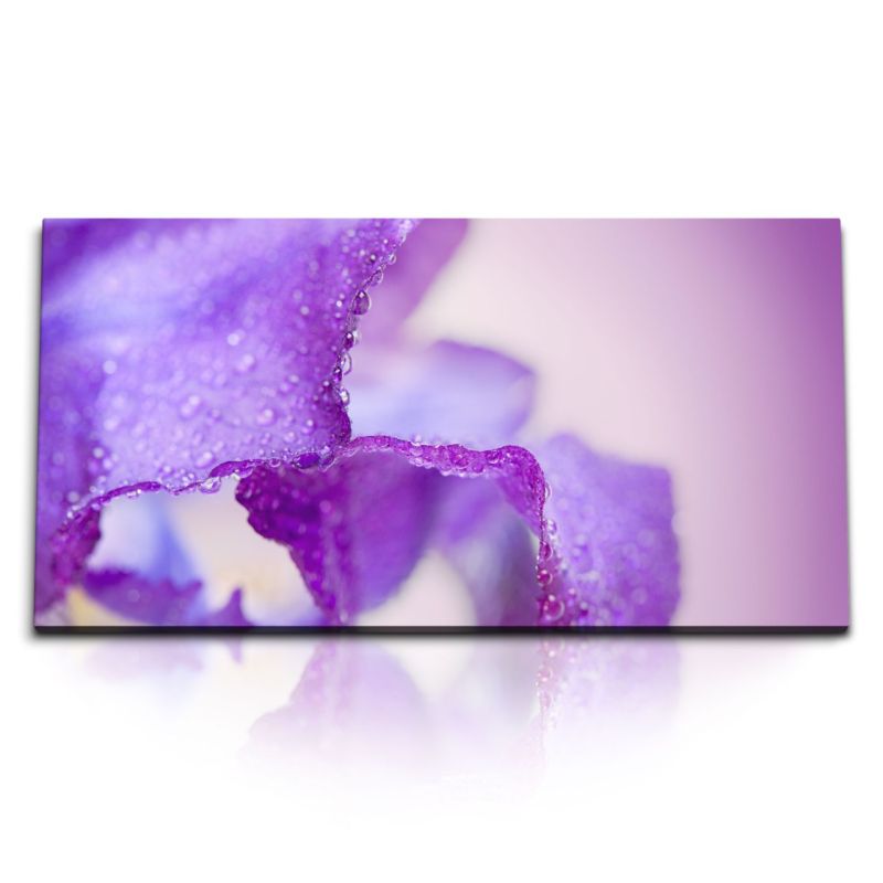 Kunstdruck Bilder 120x60cm Makrofotografie Blüte Violett Wassertropfen Kunstvoll