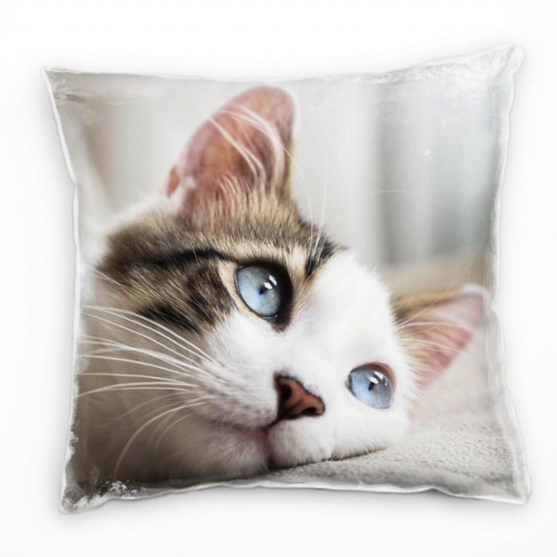 Tiere, kleine Katze, blaue Augen, weiß, beige Deko Kissen 40x40cm für Couch Sofa Lounge Zierkissen