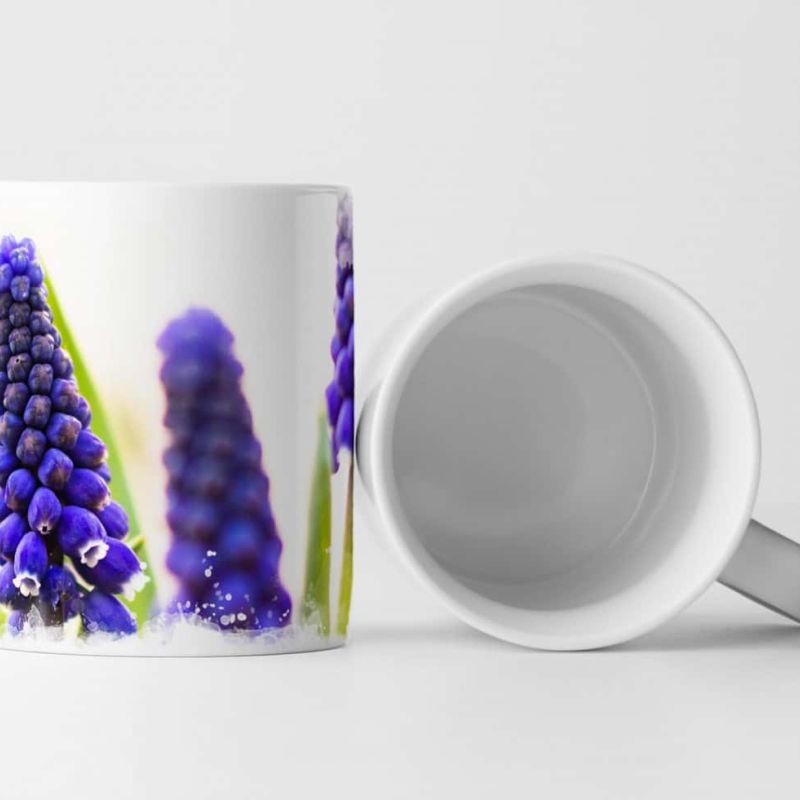 Tasse Geschenk Traubenhyazinthen