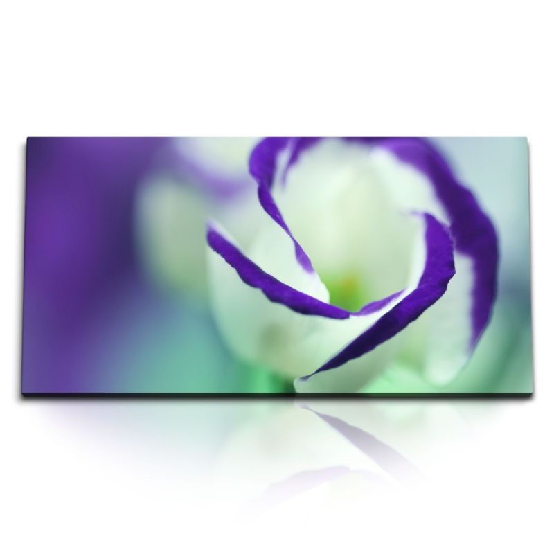 Kunstdruck Bilder 120x60cm Blume Blüte Weiß Violett Fotokunst Makrofotografie