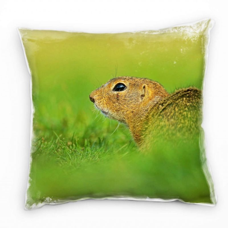 Tiere, Gras, Ziesel, braun, grün Deko Kissen 40x40cm für Couch Sofa Lounge Zierkissen