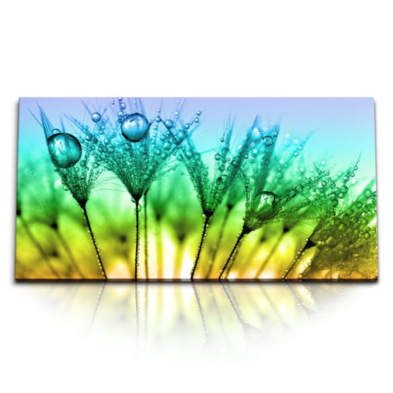 Kunstdruck Bilder 120x60cm Makrofotografie Regentropfen Pusteblume Sonnenuntergang