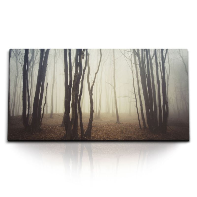 Kunstdruck Bilder 120x60cm Wald Nebel Bäume Dunkle Finster Natur