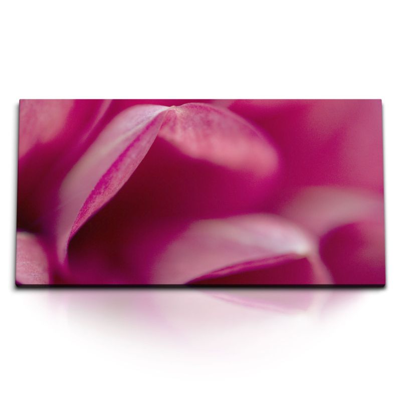 Kunstdruck Bilder 120x60cm Rosa Blüte Nahaufnahme Kunstvoll Schlafzimmer