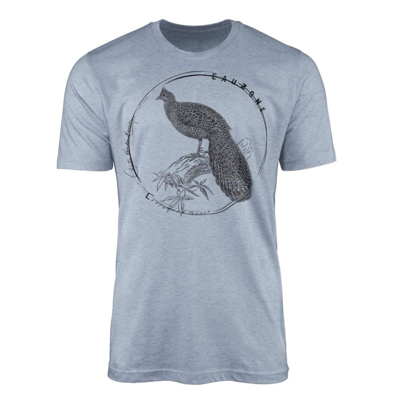 Evolution Herren T-Shirt Pfau