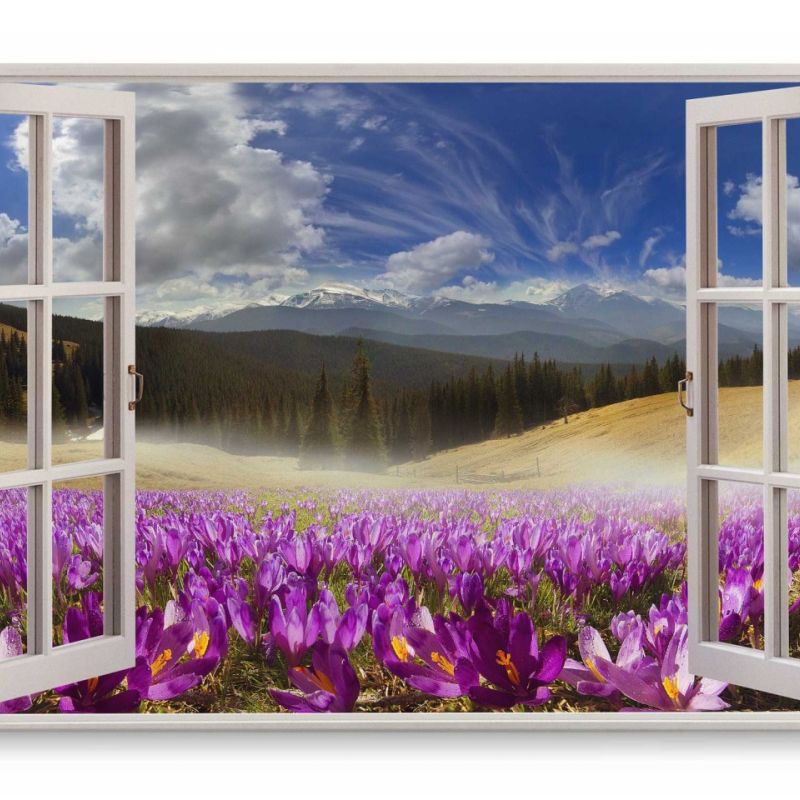 Wandbild 120x80cm Fensterbild Blumen Wildblumen Natur Landschaft blauer Himmel