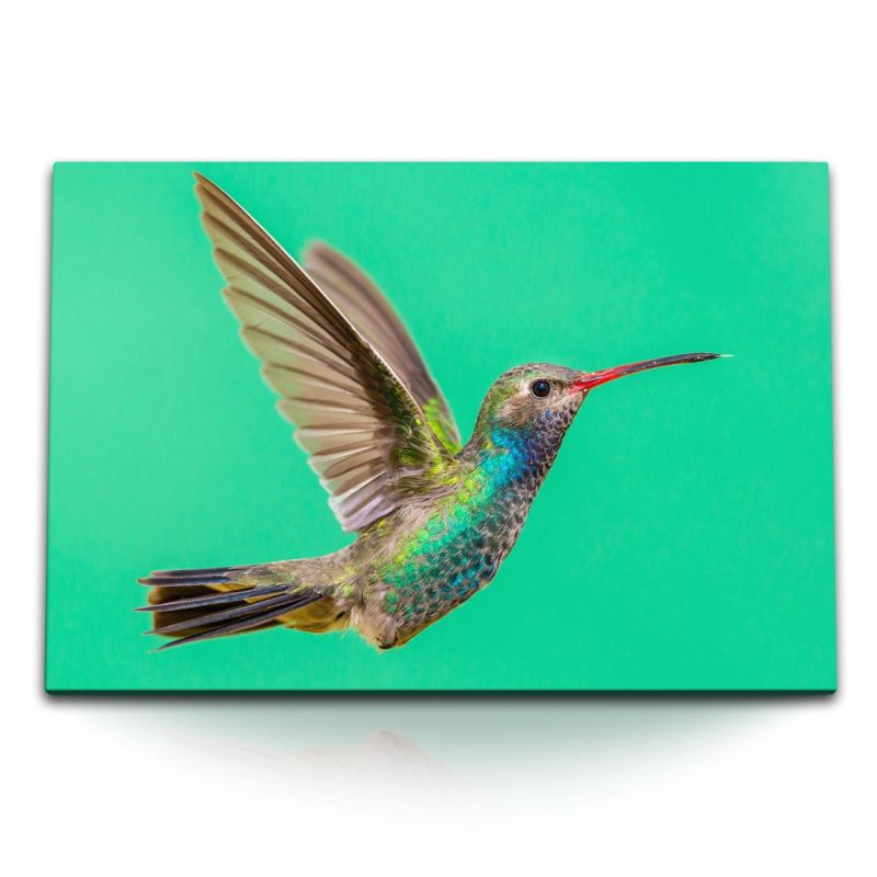 120x80cm Wandbild auf Leinwand Kolibri exotischer Vogel Grün Farbenfroh Tierfotografie