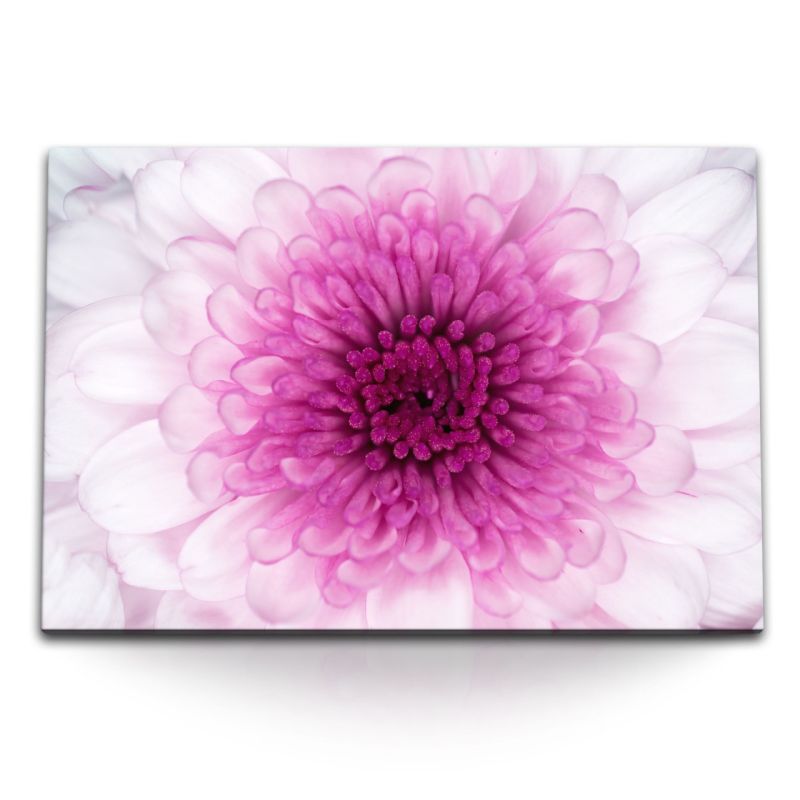 120x80cm Wandbild auf Leinwand Fotokunst Makrofotografie Rosa Blume Blüte