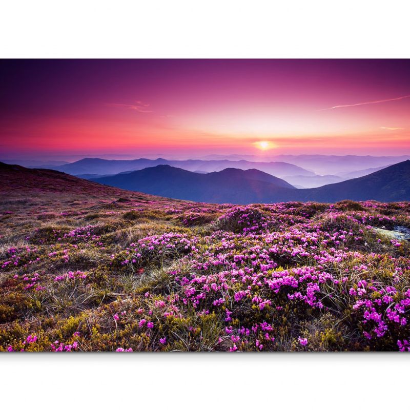 120x80cm Wandbild Ukraine Blumenwiese Berge Sonnenuntergang