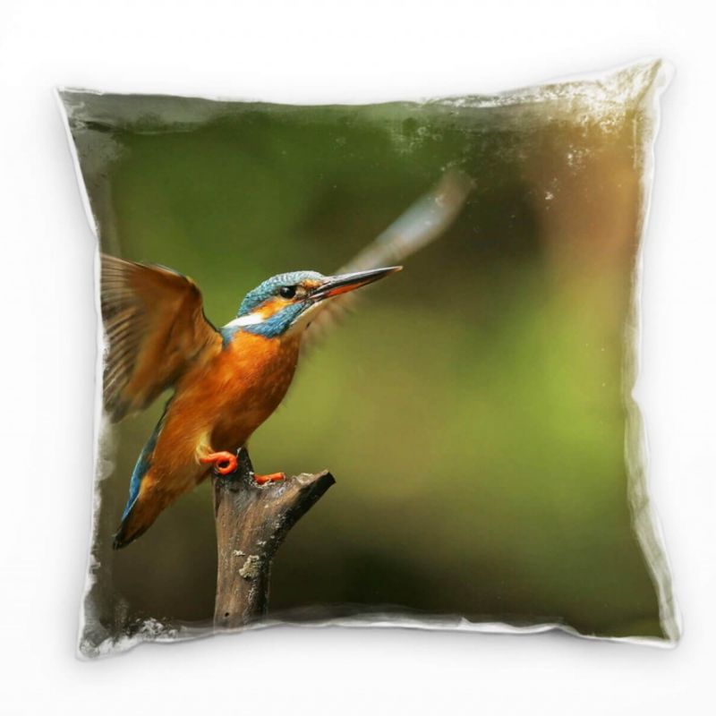 Tiere, Vogel, Eisvogel, orange, türkis, grün Deko Kissen 40x40cm für Couch Sofa Lounge Zierkissen