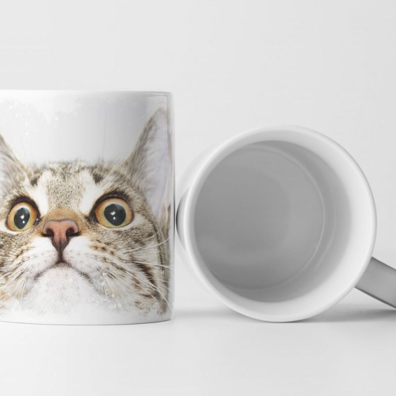 Tasse Geschenk Katze blickt nach oben – Tierfotografie