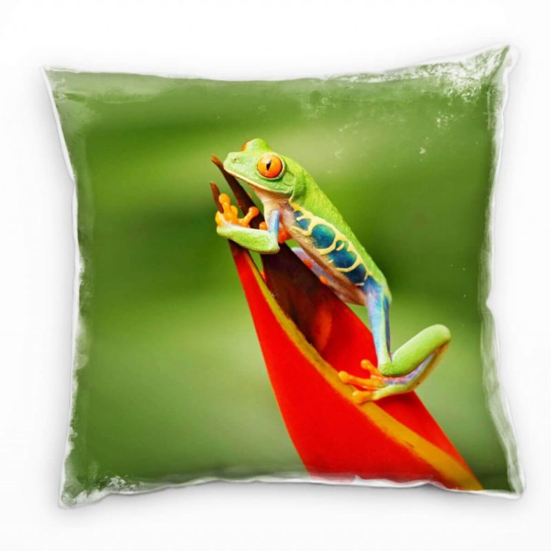 Tiere, Rotaugenlaubfrosch, grün, rot Deko Kissen 40x40cm für Couch Sofa Lounge Zierkissen