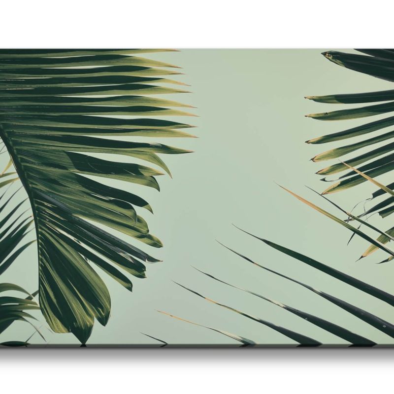 Leinwandbild 120x60cm Kentia-Palme Grüne Blätter Palme Kunstvoll Dekorativ