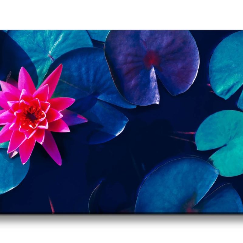 Leinwandbild 120x60cm Rote Seerose Blüte Asien Kunstvoll Dekorativ Schön