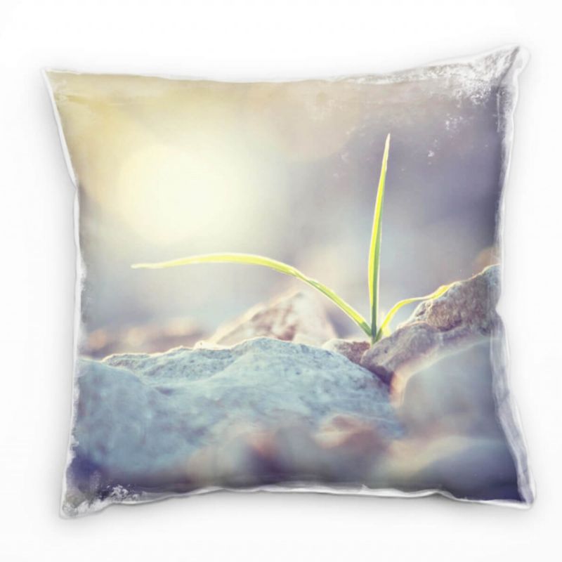 Macro, Pflanzen, Stein, Sonnenlicht, Deko Kissen 40x40cm für Couch Sofa Lounge Zierkissen