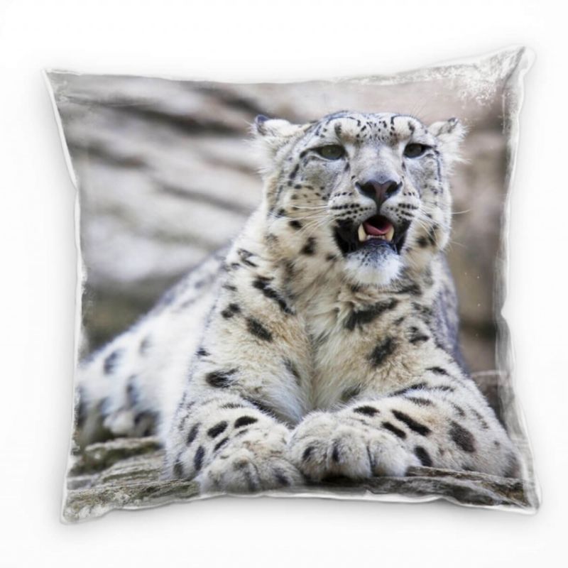 Tiere, junger Schneeleopard auf Felsen, braun Deko Kissen 40x40cm für Couch Sofa Lounge Zierkissen