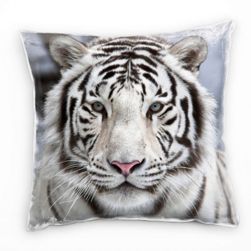 Tiere, schwarz, weiß, grau, weißer Bengaltiger, Nah Deko Kissen 40x40cm für Couch Sofa Lounge Zierki