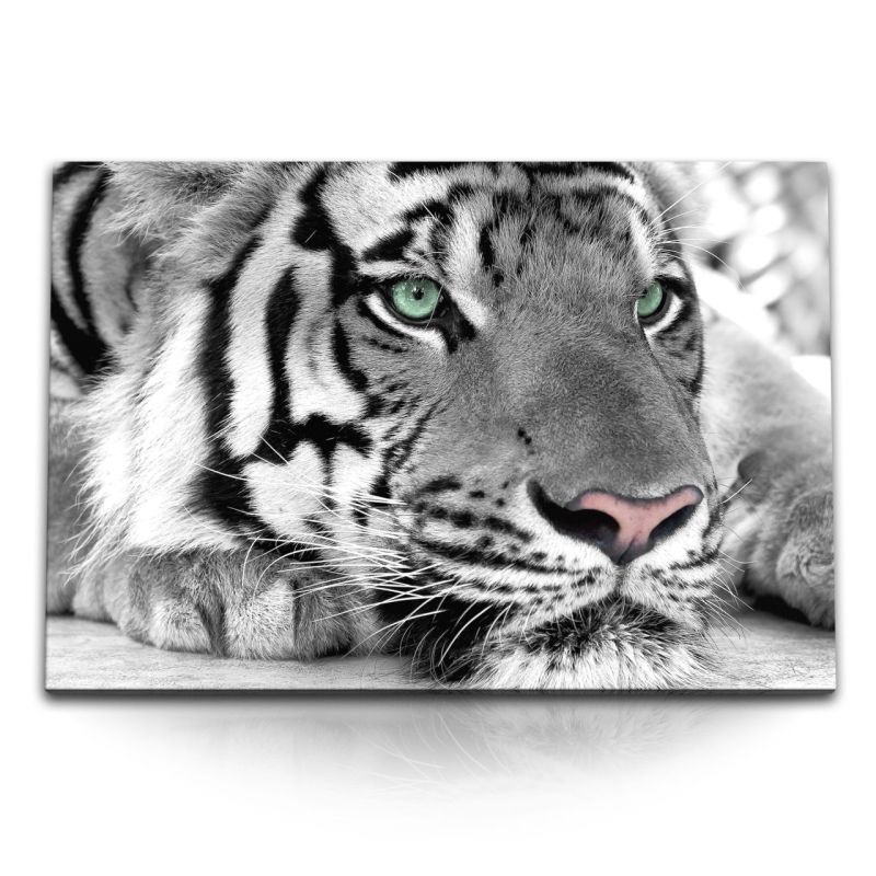 120x80cm Wandbild auf Leinwand Tierfotografie Tiger Schwarz Weiß Raubkatze