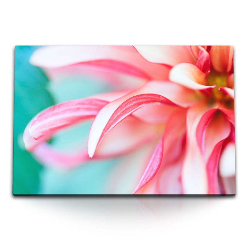 120x80cm Wandbild auf Leinwand Blume Blüte Rosa Rot Makrofotografie Kunstvoll