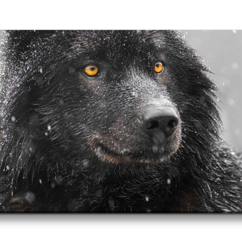 Leinwandbild 120x60cm Schwarzer Wolf mystische Augen Schnee Winter Wildnis