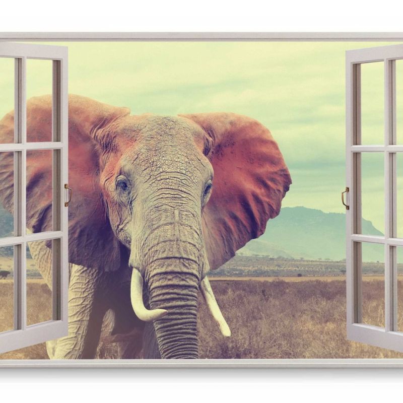 Wandbild 120x80cm Fensterbild Afrikanische Landschaft Natur Elefant Wildnis